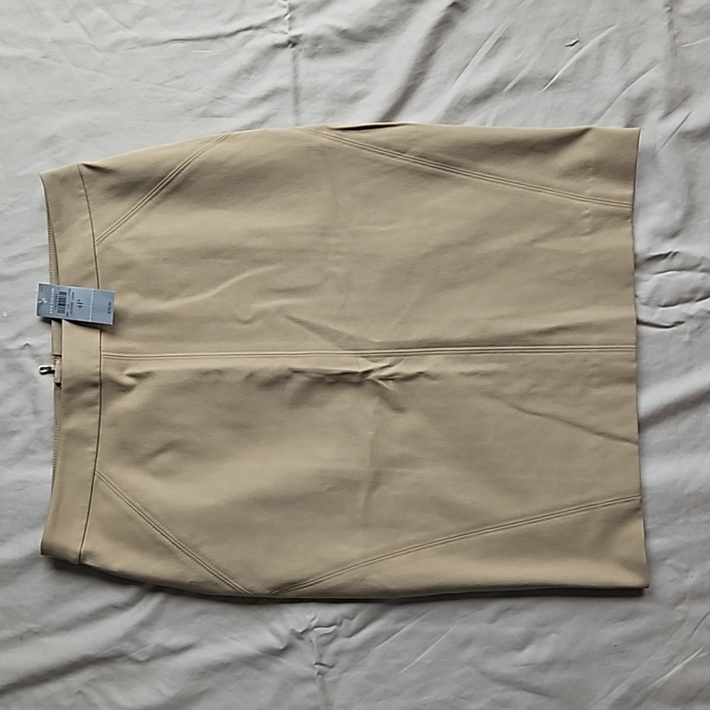 Ann Taylor pencil skirt